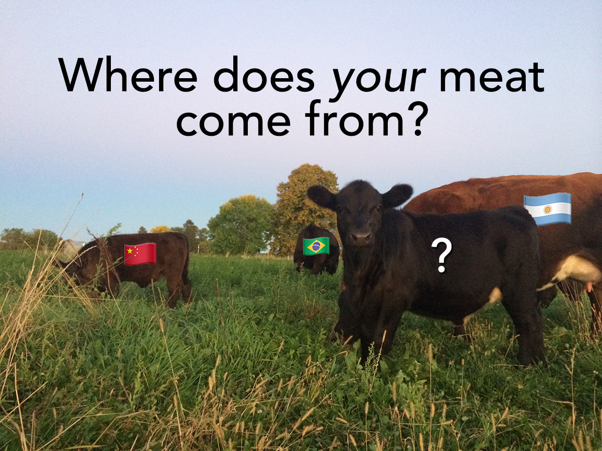 What does Pasture Raised Really Mean? TC.Farm Fine Food Sustainably