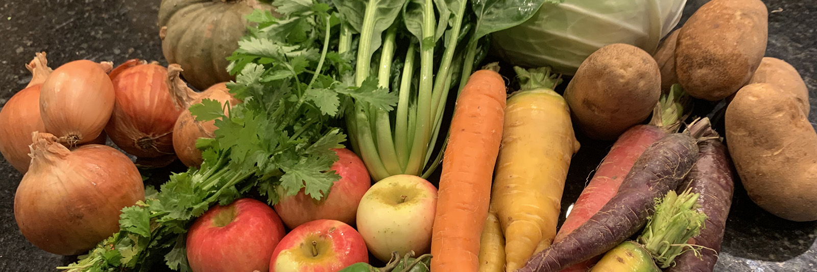 Minnesota Pasture Raised Organic Fed Meat and Produce TC.Farm Fine